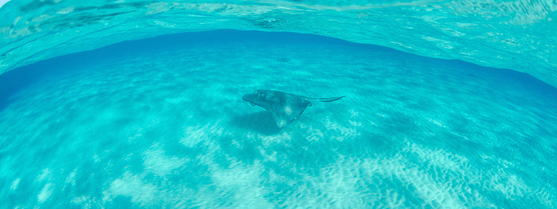 Grand Cayman Vacation packages