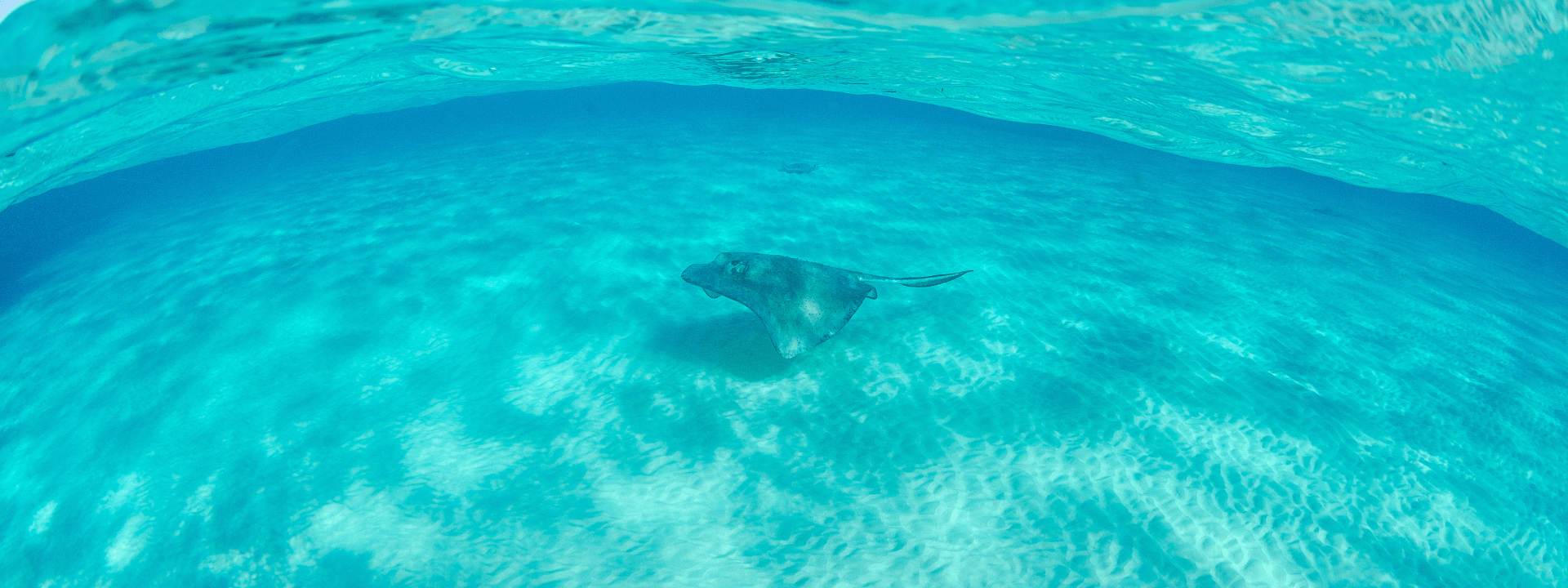 Grand Cayman