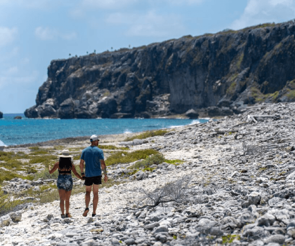 The Bluff & Hiking Trails