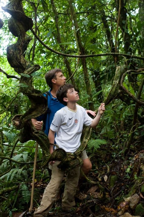 RAINFOREST